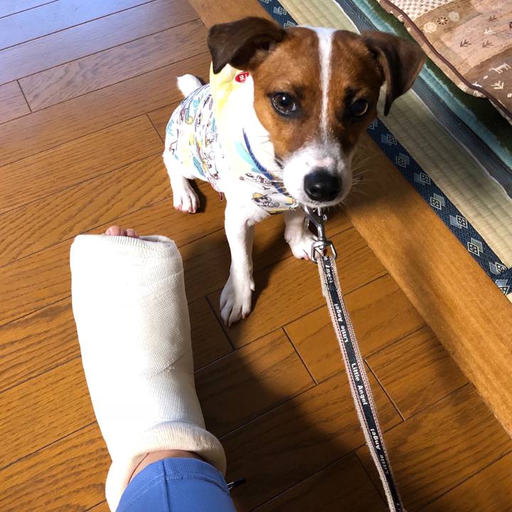 Eec3841d 4504 44f3 80ac fa409a7de550 1534156270739