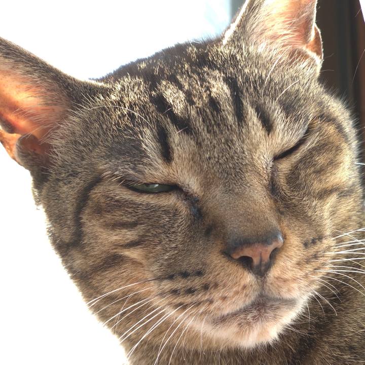 Eec3b146 4dbe 4c63 9800 a8dc6bf4c57d 1552527332782