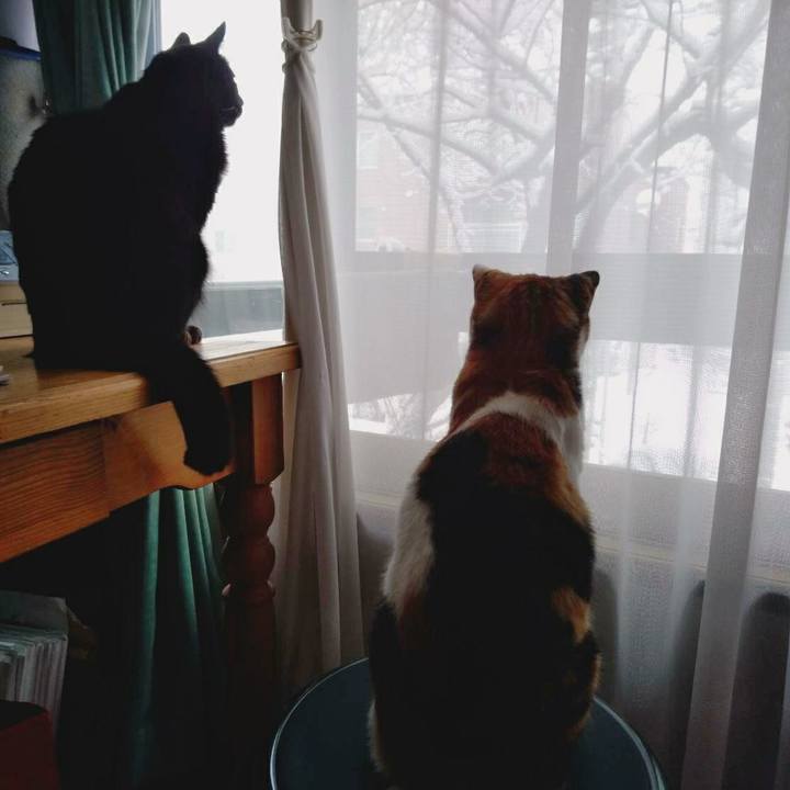 Eec3efd5 55a0 4780 9a5f 3b677eb67a4a 1552715148495