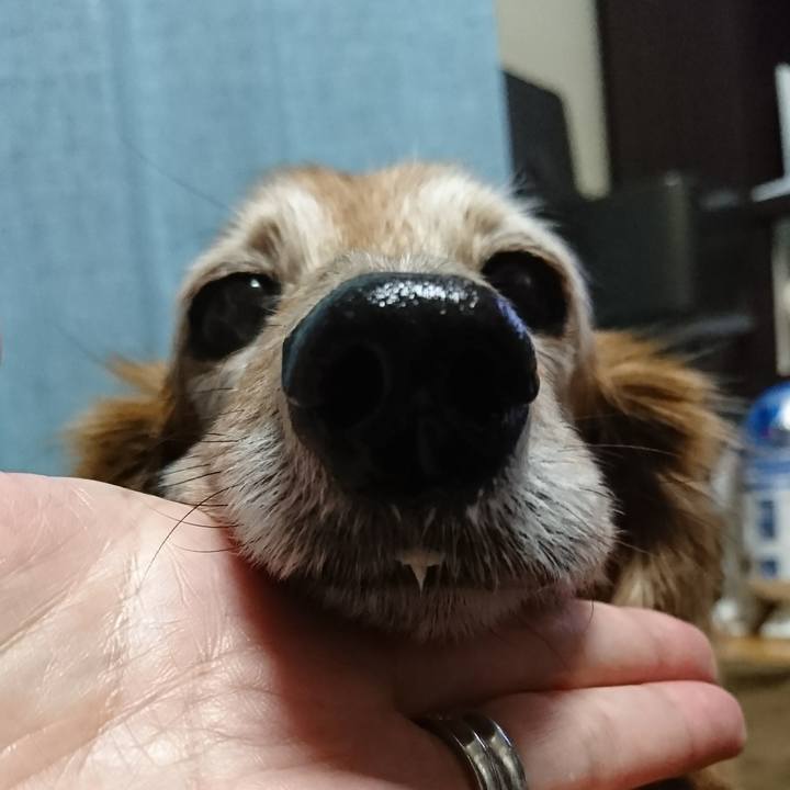 Eec40a85 3a9c 4a06 82d6 3c3d8a05d33c 1517437212333