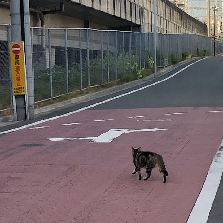 Eec4609a 4e42 437a 922b 62d42c98dc9d 1565553156369