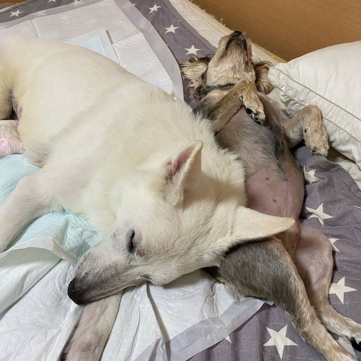 Eec467c8 1eaa 4e29 83a7 9a519aabf941 1669601073886