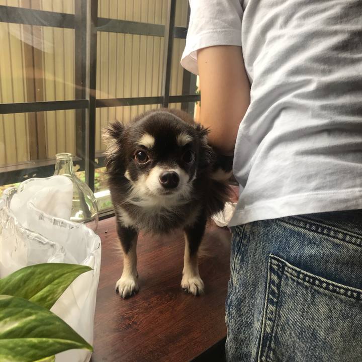 Eec4d215 00d5 4807 8400 2a884eb858bb 1601786146151