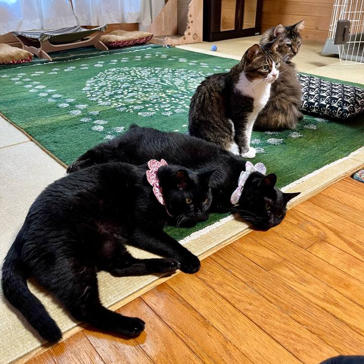 Eec50e72 0b29 4190 a86e 7173ed971f34 1722579337082