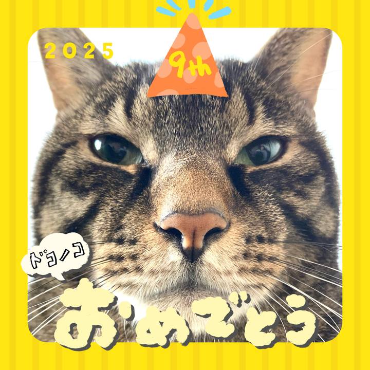 Eec5193d be9e 4f26 85da 231139e1b254 1749294764224