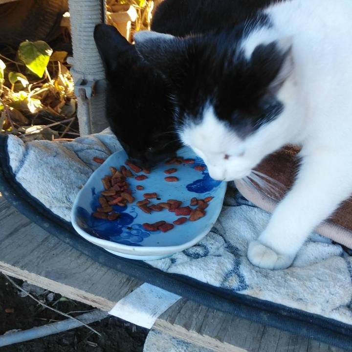 Eec51bce 2558 4a15 91d5 b88a79d8f328 1580775721184