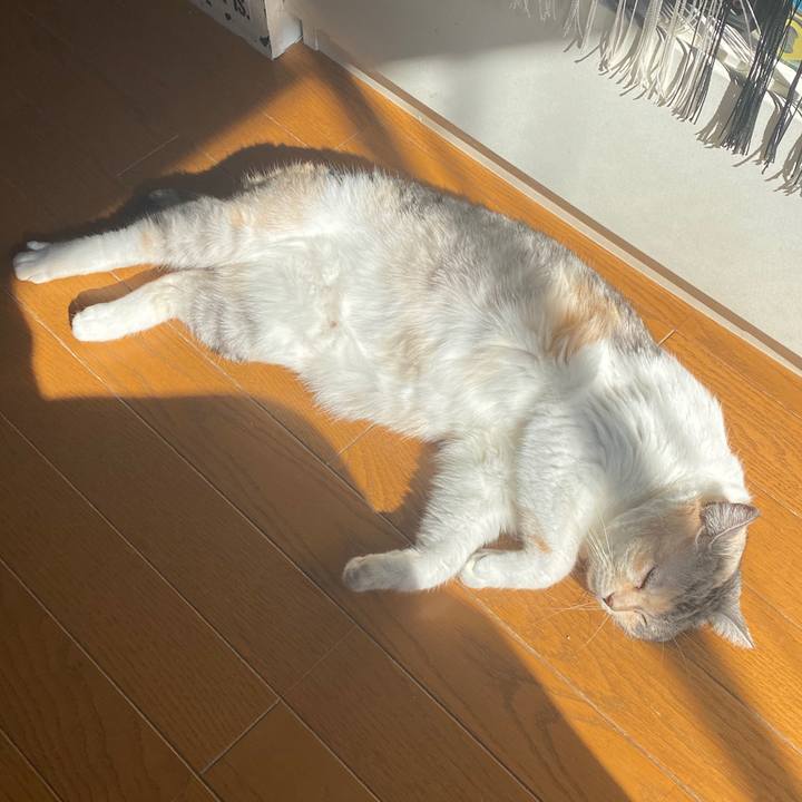 Eec55149 4c60 4716 86a4 1f9497321c3d 1580529561669