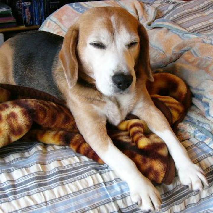 Eec57971 4e3a 44ec 8263 a9c097a3525c 1643764603095