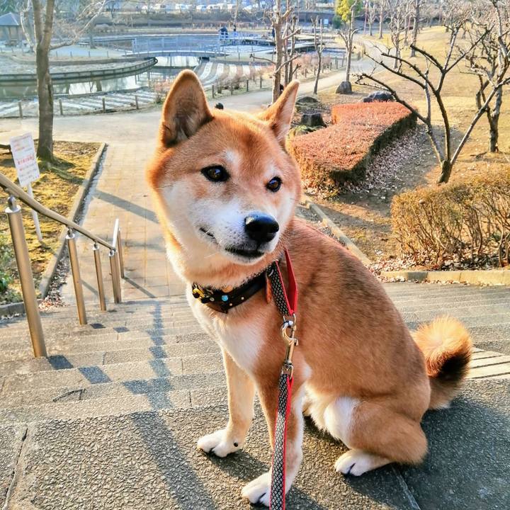 Eec5e19a 36a7 48fe ae98 3d5a0918f43b 1612695415532