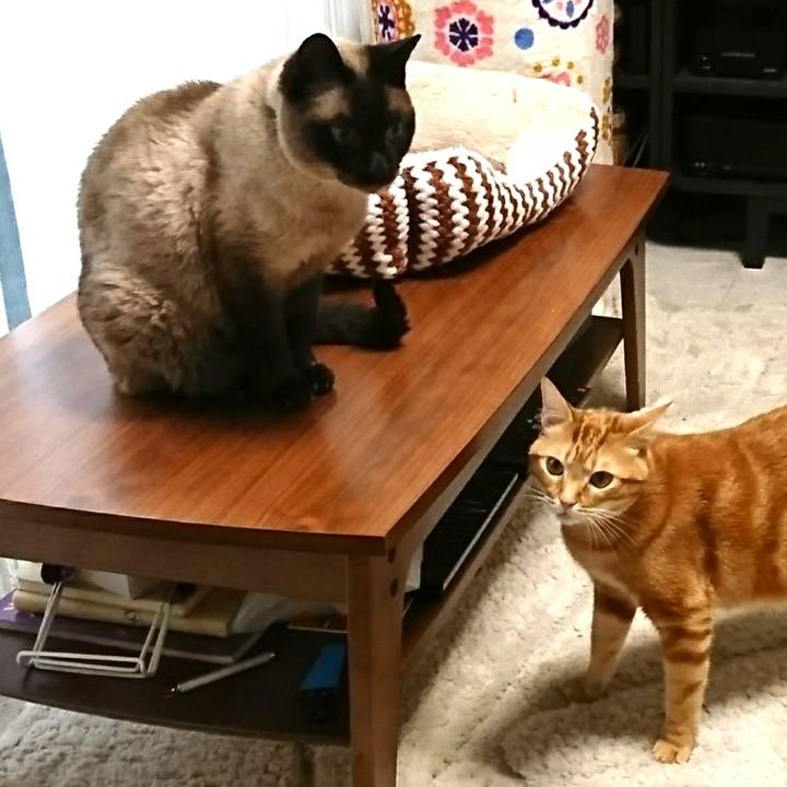 Eec6023f f04e 4c5a 9451 f23976dbf309 1527401720141