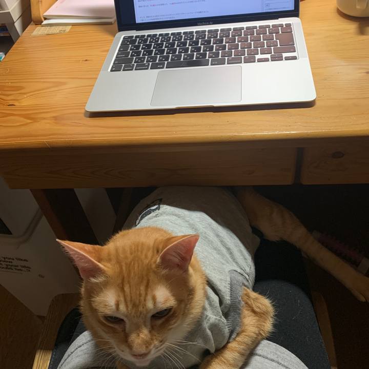 Eec604dc ebc4 4d62 ba5a e45e5fd86699 1642802277246