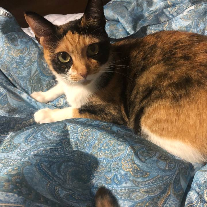 Eec606f4 d8d8 42ff b51f 6ec83332ef94 1563197272511