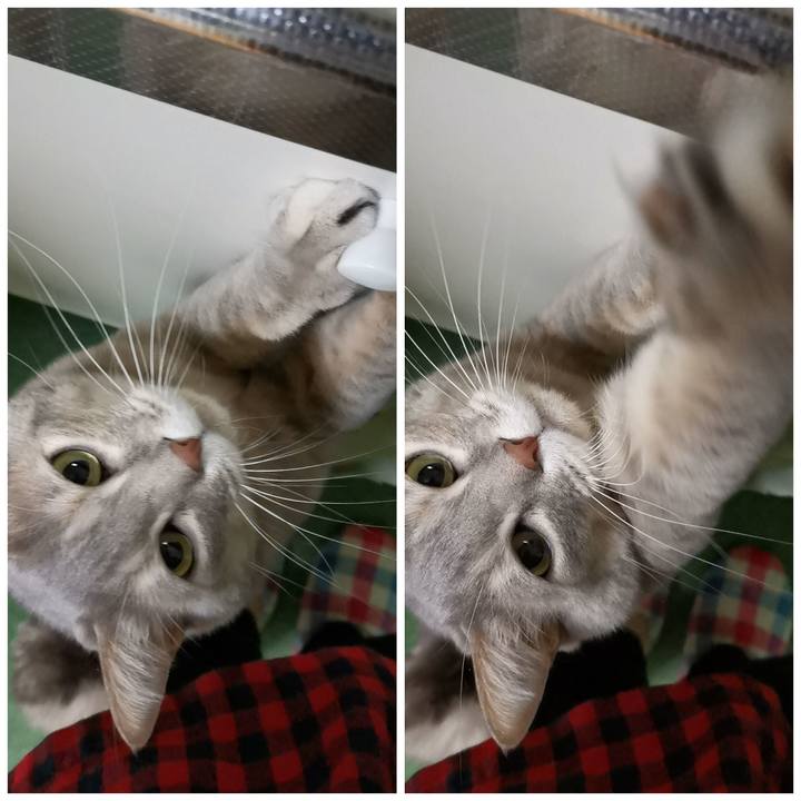 Eec62883 eb68 44f3 b710 900a8995a4b4 1613779505772