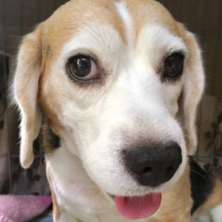 Eec63461 d731 4cf9 ae66 4a1b60e68f42 1559976860831