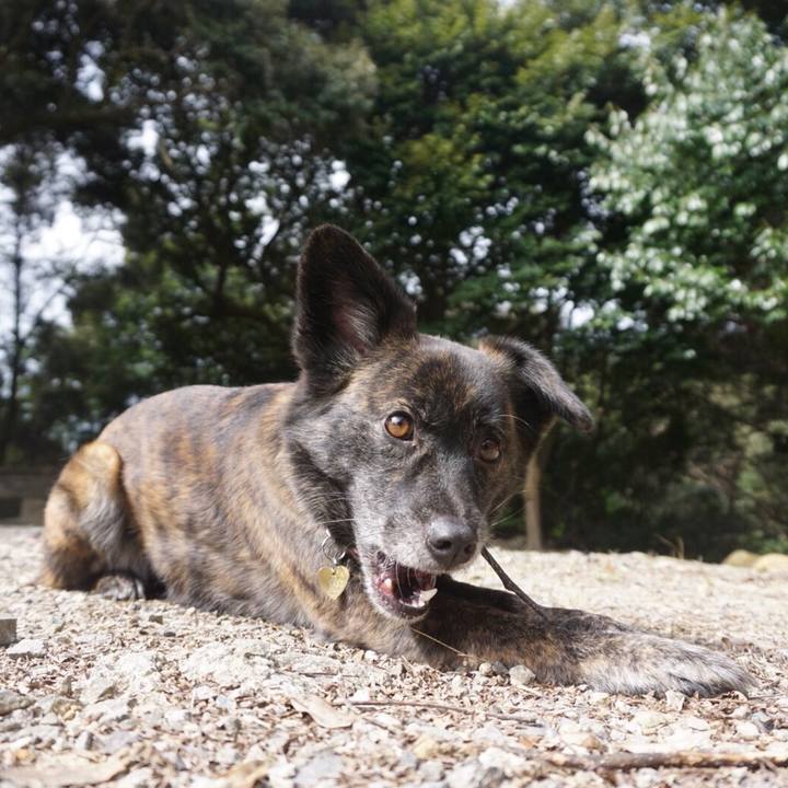 Eec66d3a 52a2 4e85 9bc1 fae430311bce 1524313747848