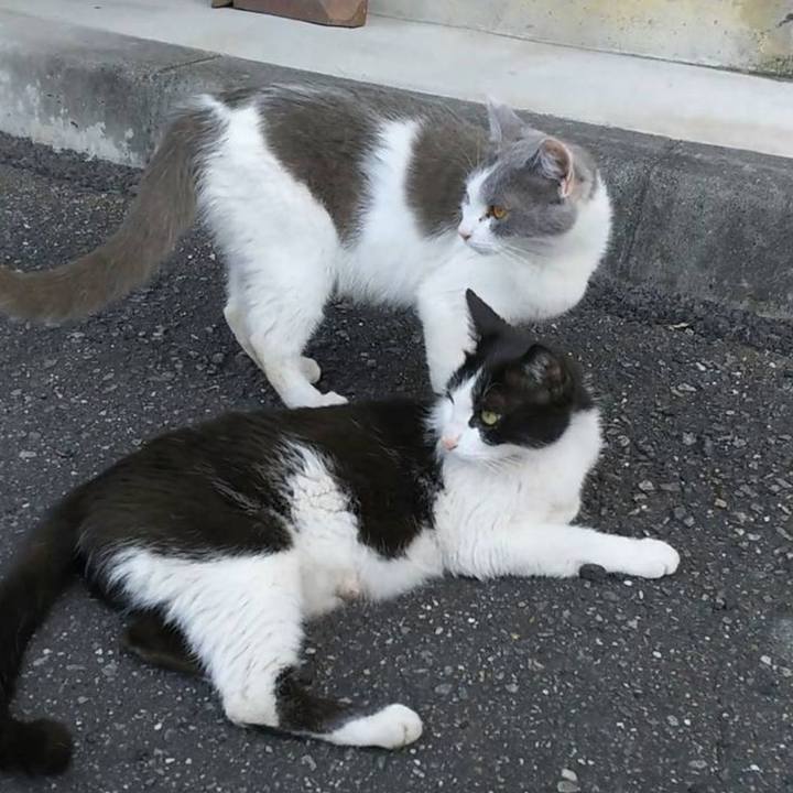 Eec67412 17ee 4d82 81a4 e9e176537c31 1562387475164