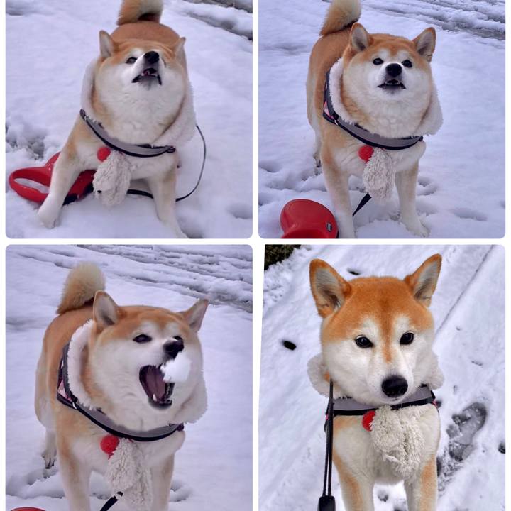 Eec684c5 ff0d 45bf a7c4 706efdec9555 1644543039240