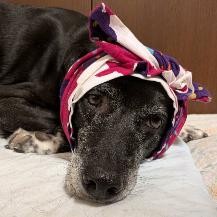 Eec684e3 153b 4f7c bbc9 776c787495d8 1756287684078