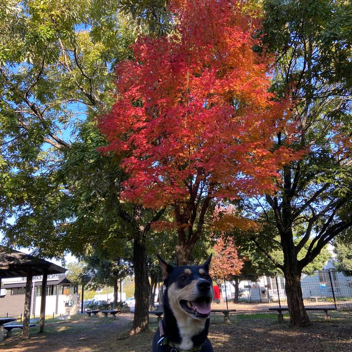 Eec71bf8 1a5f 4024 9bbb c13412afec3f 1605146595796