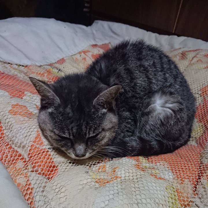 Eec722dd e2da 41e9 8d6b 7b5c84c1846a 1581595382412