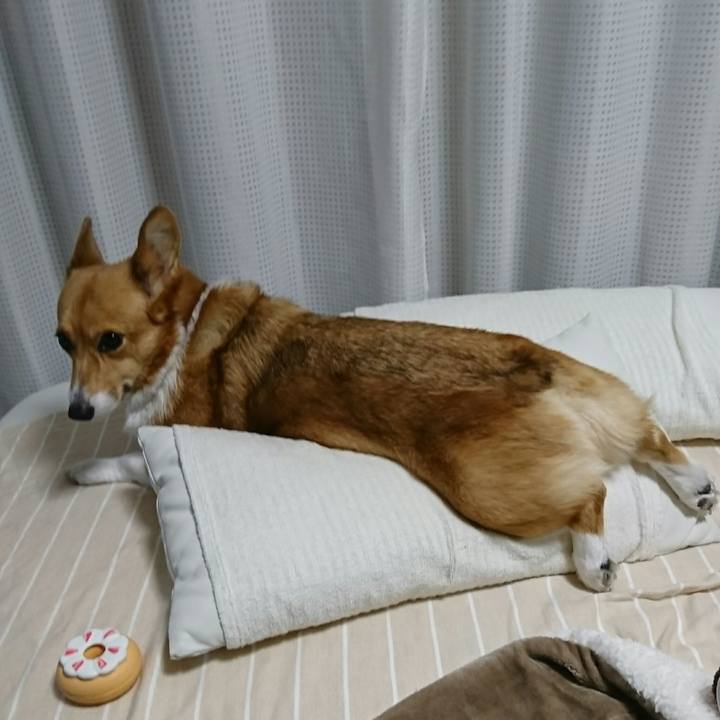 Eec72e9a b1a5 4e1a a86e 04ec141c5fb8 1543054483734