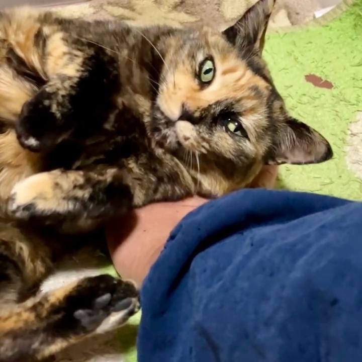 Eec73e8c 5ce4 40aa 8bde f0df47fa1d17 1740431740000