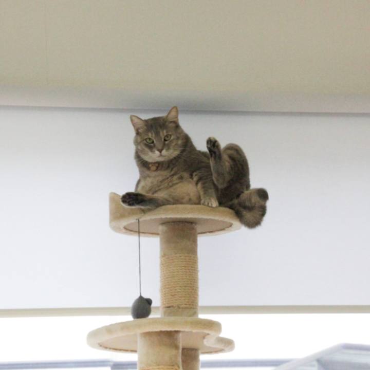 Eec75540 fdc9 483c abfc 43cefa427c0b 1604029854543