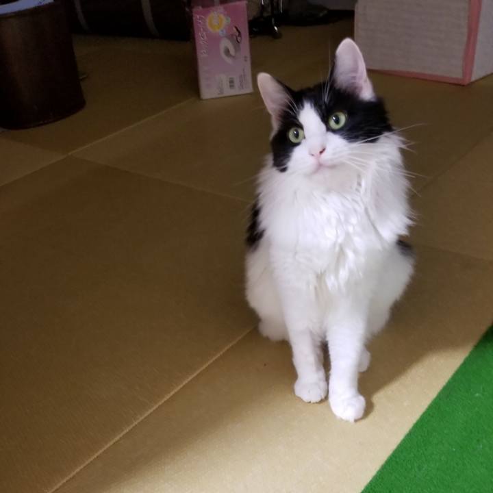 Eec77621 a40d 4646 837e 12dad91a90e0 1535500352806