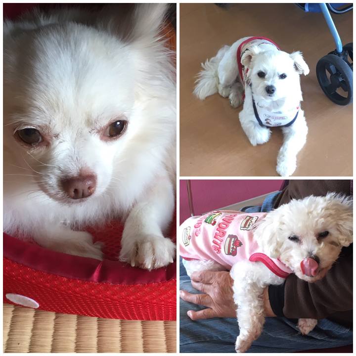 Eec7b3ae 1871 4c22 bb43 49efc578f13c 1544166092047