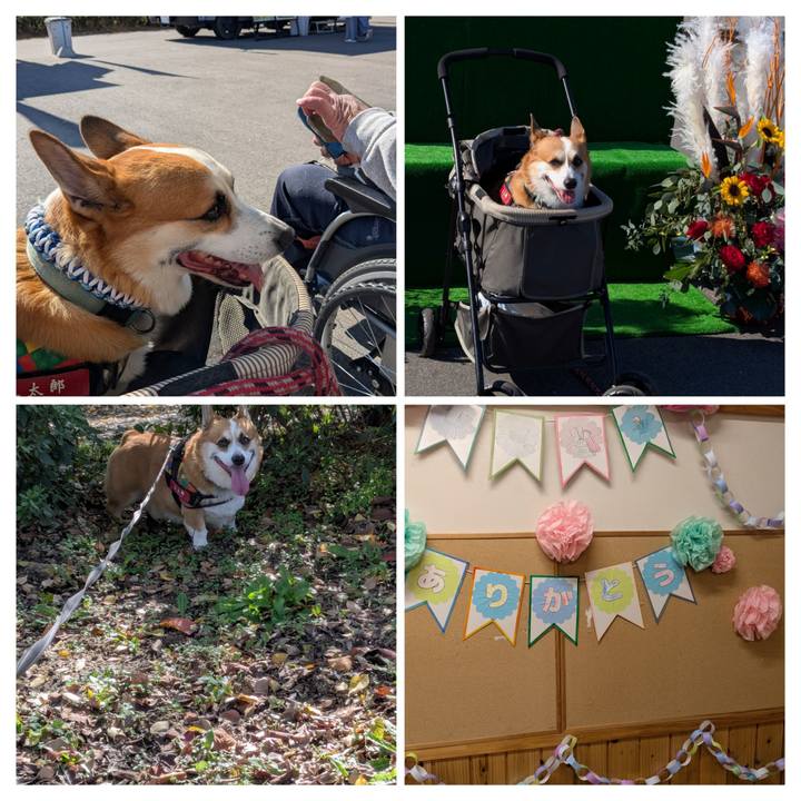 Eec7f9bc 09e2 4e7d 9e69 678f7c242a35 1764210714843