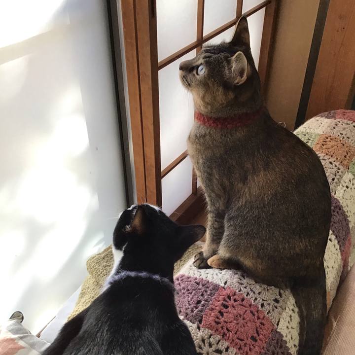 Eec8000f ab9c 4333 9ce7 ce6108a828d5 1642037382418