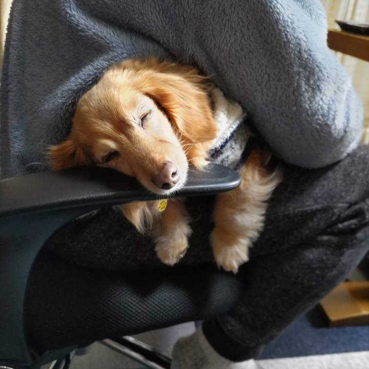 Eec8703c a243 407c 9458 206d74136402 1765521251836