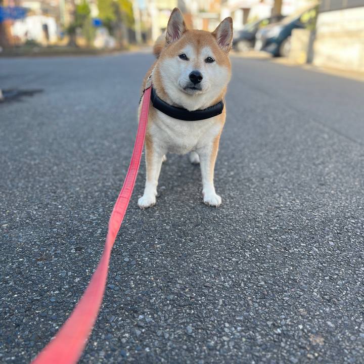 Eec8824c b25f 421f 9473 d8c388dcc563 1701226974862