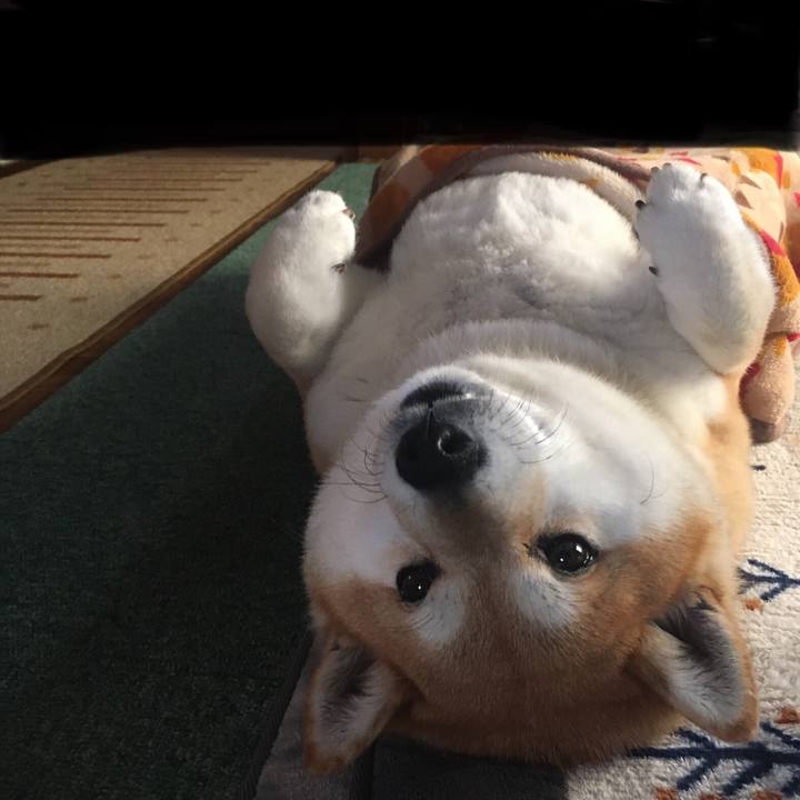 Eec8ede7 dcb8 473a bfcc c62a3bfd9af5 1616634452832