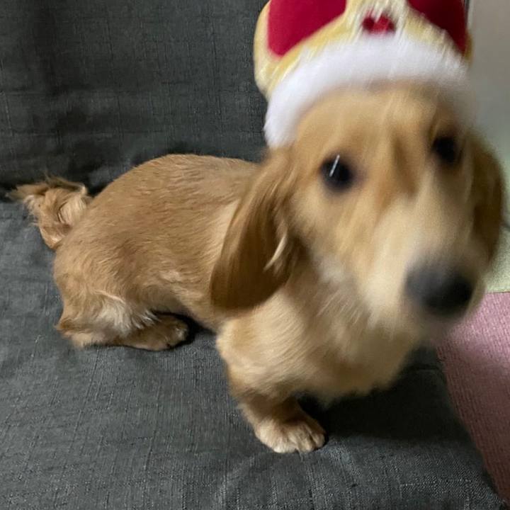 Eec8ffa7 bc3b 46e5 8d12 772f9d976da0 1693993860404