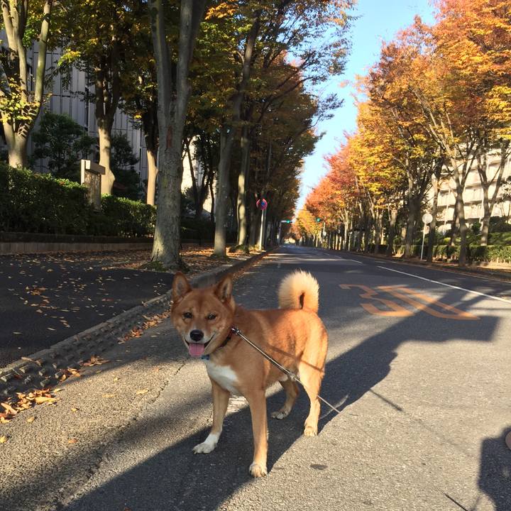 Eec93541 2d67 4e35 a0c1 33f2d9d1a15b 1605408888703