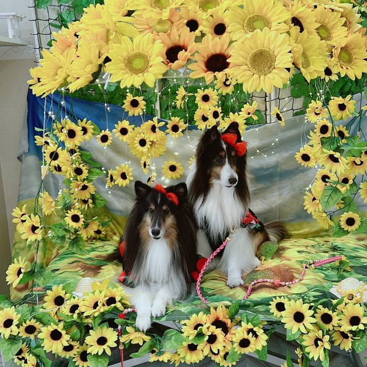 Eec96838 2265 429b 8a62 86e336c45a3e 1661600598688