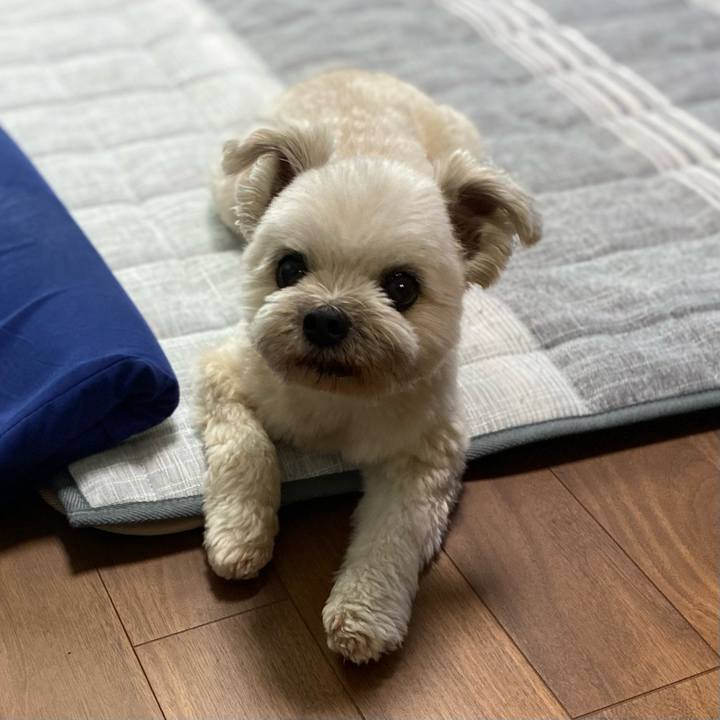 Eec9683e 8774 43f4 8d37 abceea2f4a5f 1719126269657