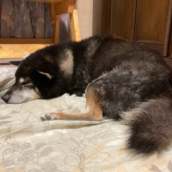 Eec97021 f17f 4354 b0c4 391ee2c6f6d8 1668159044109