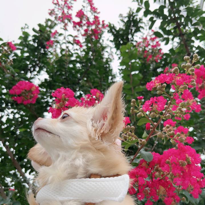 Eec9ac43 ac59 4664 9ac4 4937c68c7c13 1720517126189