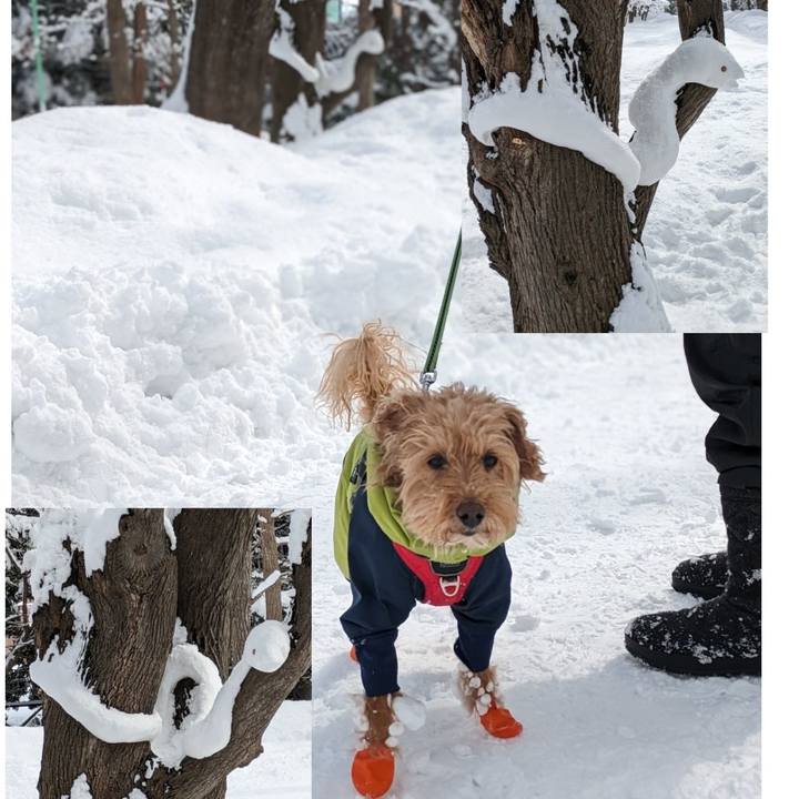 Eec9e273 8b1d 49d0 942e c11f3157a8ca 1710037847767