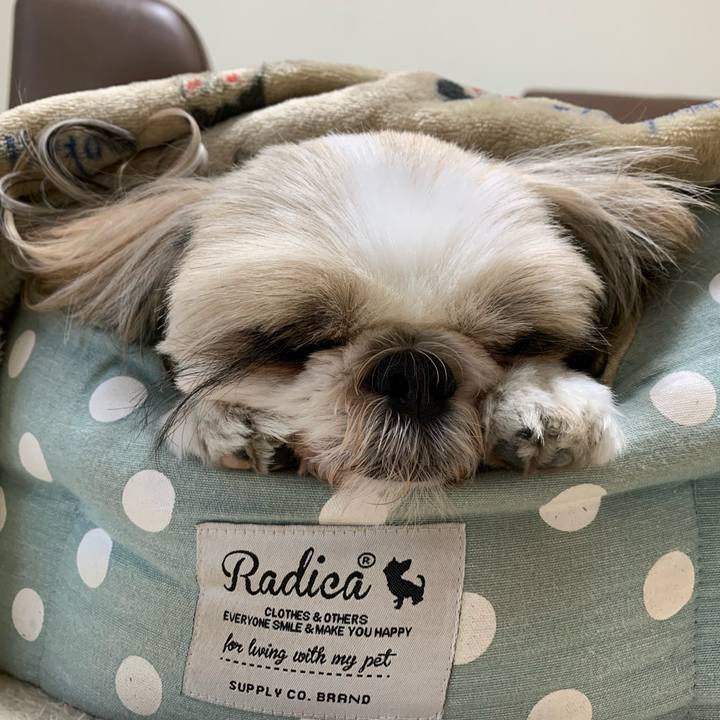 Eeca0a54 fbe5 4ed2 975c 2753ed021be1 1700309856003