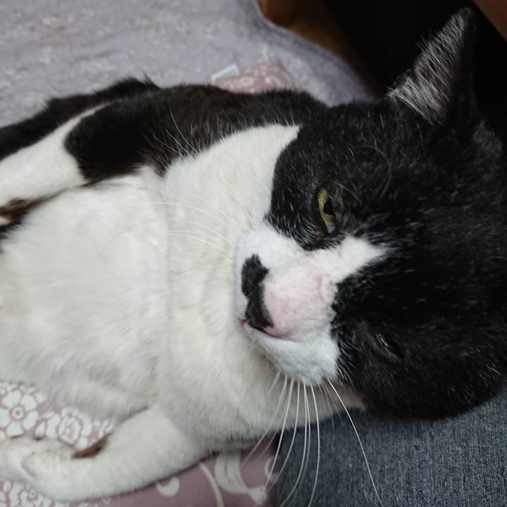 Eeca27a8 65e5 454f 9af1 db25c0d1dd85 1587119602693