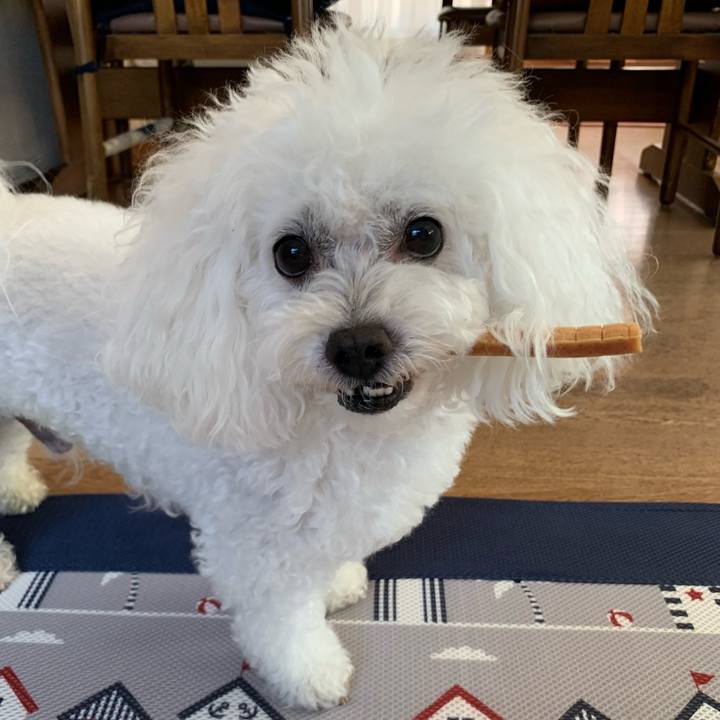 Eeca43e7 de7e 4842 8ebd 71344658de45 1628127816875