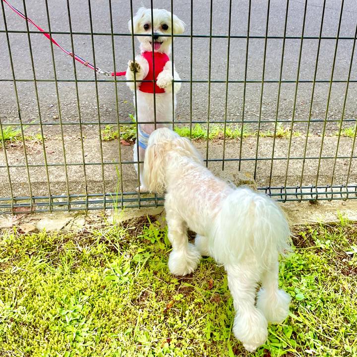 Eeca9c52 1950 481b 8de1 c4224f953b10 1620385738814