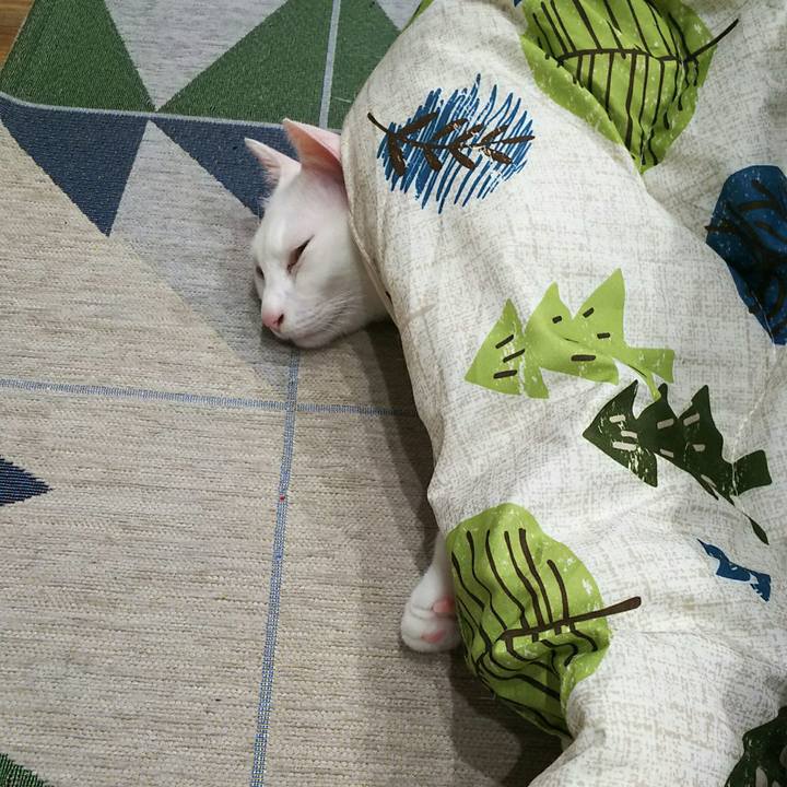 Eecabb37 1cf4 4429 a641 964e70450aa9 1510585679711