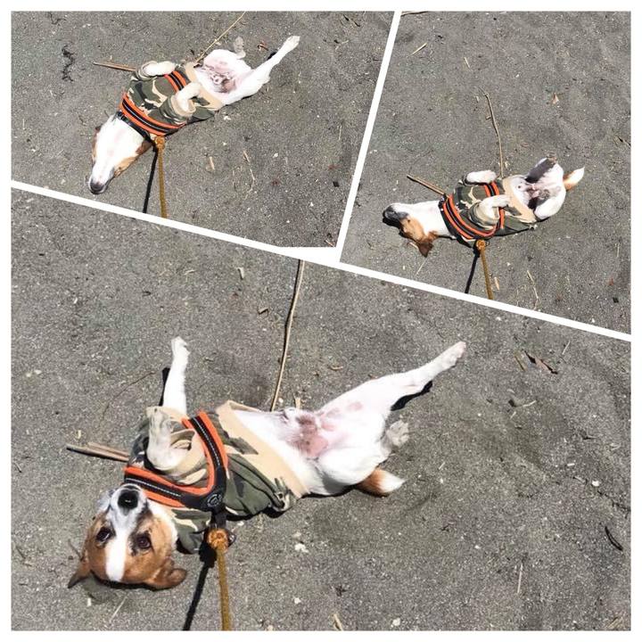 Eecae400 158b 408d 8949 ff9f11b886cc 1653011896488