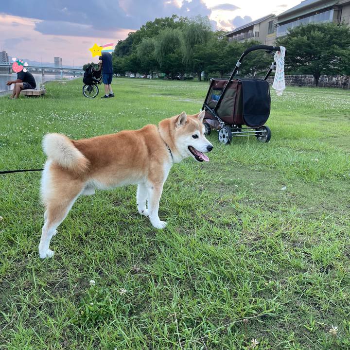 Eecaec04 ba6e 4c83 b8fa 5f9f1714c1d0 1657110839489