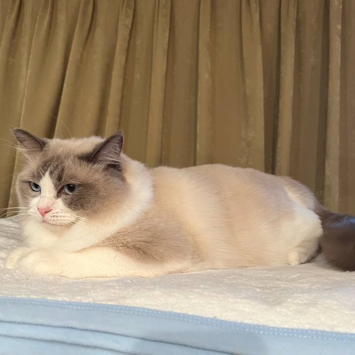 Eecaed44 b2f9 428b 97d5 7eb0ce9067d3 1662043046242