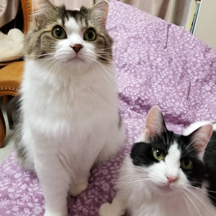 Eecaf9d0 06ad 4ba7 9402 6fee3adba715 1541195730884